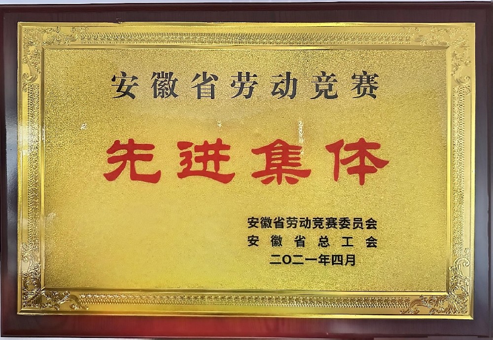 安徽省勞動(dòng)競賽先進(jìn)集體
